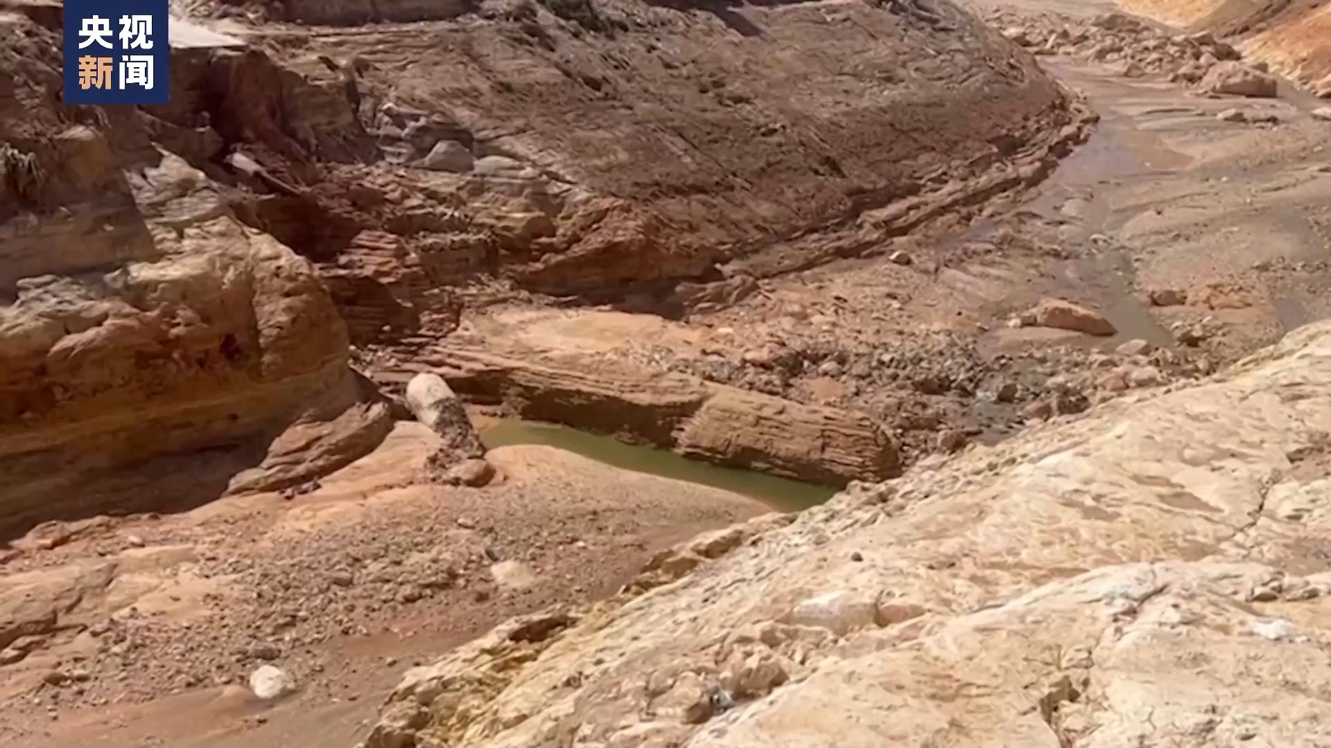 手游押注有啥游戏